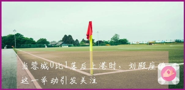 当蓉城0比1落后上港时，刘殿座的这一举动引发关注